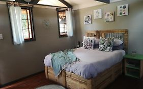 Treur River Lodge